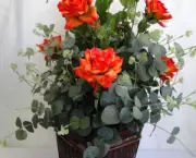 Como Cultivar Rosas Em Vasos (8)