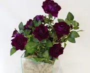 Como Cultivar Rosas Em Vasos (9)