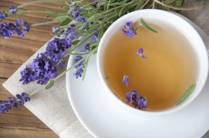 Como Fazer Chá de Alfazema Seca? | Flores - Cultura Mix
