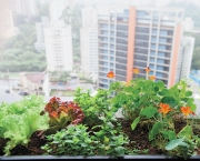 Como Fazer Horta em Apartamento (3)