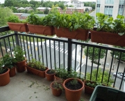 Como Fazer Horta em Apartamento (8)
