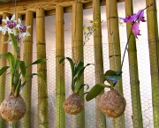 Como Fazer Kokedama com Orquídeas (1)