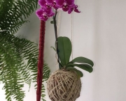 Como Fazer Kokedama com Orquídeas (5)