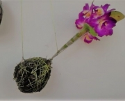 Como Fazer Kokedama com Orquídeas (7)