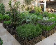 como-organizar-um-jardim-de-ervas (4)