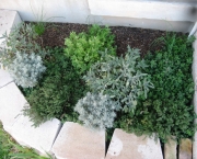 como-organizar-um-jardim-de-ervas (7)