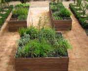 como-organizar-um-jardim-de-ervas (14)