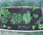 como-organizar-um-jardim-de-ervas (15)