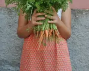 Como Plantar Cenoura (10)