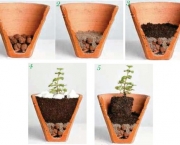Como Plantar Em Vasos (18)