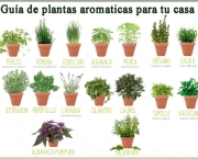 conselhos-para-ter-plantas-aromaticas-em-casa (10)