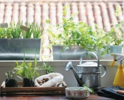Cultivar Horta em Apartamento (1)