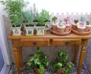 Cultivar Horta em Apartamento (2)