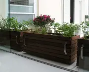 Cultivar Horta em Apartamento (5)