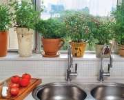 Cultivar Horta em Apartamento (7)