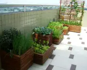 Cultivar Horta em Apartamento (10)