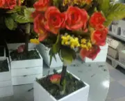 Como Cultivar Rosas Em Vasos (2)