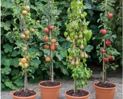 cultivar-vegetais-e-frutas-em-casa (7)