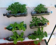 cultivar-vegetais-e-frutas-em-casa (10)