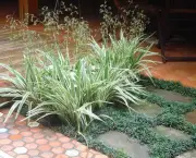 dianela-planta-ornamental (13)