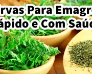 Ervas Que Emagrecem (2)