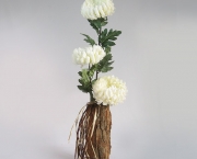 Fazer Arranjos de Flores e Vasos Criativos (5)