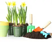 ferramentas-basicas-para-o-jardim (2)