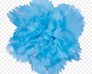 Flor Cravo Azul (9)