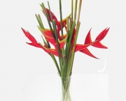 Flores de Vasos (8)