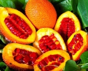 Frutas (1)