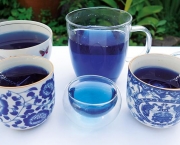 Chá de Flores Azuis de Feijão Borboleta (14)
