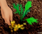herbicida-organico-como-fazer (3)