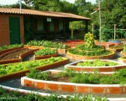 Horta Organica e Ecologica (4)