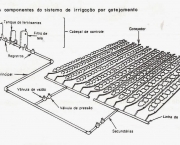 irrigacao-por-gotejamento (3)