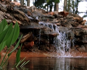 jardim-botanico-de-brasilia (12)