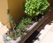 jardim-de-ervas-aromaticas (7)