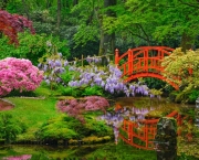 Jardim Japonês (9)