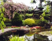 Jardim Japonês (10)