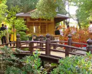 Jardim Japonês (13)