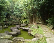 Jardim Oriental - Ambiente Zen (12)