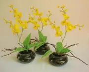 orquidea-chuva-de-ouro (15)
