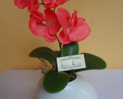 Orquidea Phalaenopsis (3).jpg