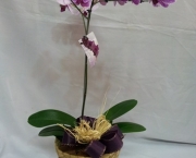 Orquidea Phalaenopsis (10).jpg