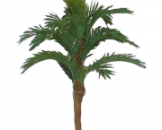 Planta Palmeira (15)