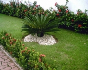 Plantas Ornamentais (7)