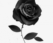 Rosa Negra Existe (3)