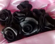 Rosa Negra Existe (12)