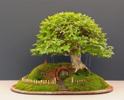 A-Baggins-Bonsai-3