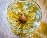 http://www.dreamstime.com/stock-photography-lotus-flower-tea-chinese-glass-image36732962