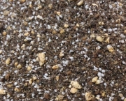 Vermiculita e Perlita (2)